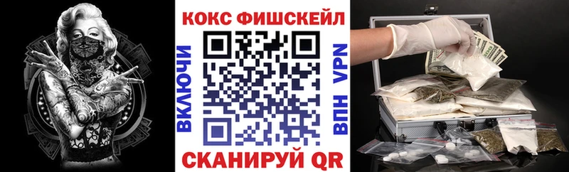 закладка Свирск КОКАИН Fish Scale