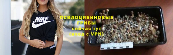 гашик Алексеевка