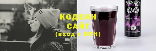 гашик Алексеевка